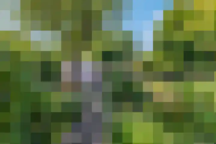 Tellerswerft 34 Nijkerk thumbnail 48
