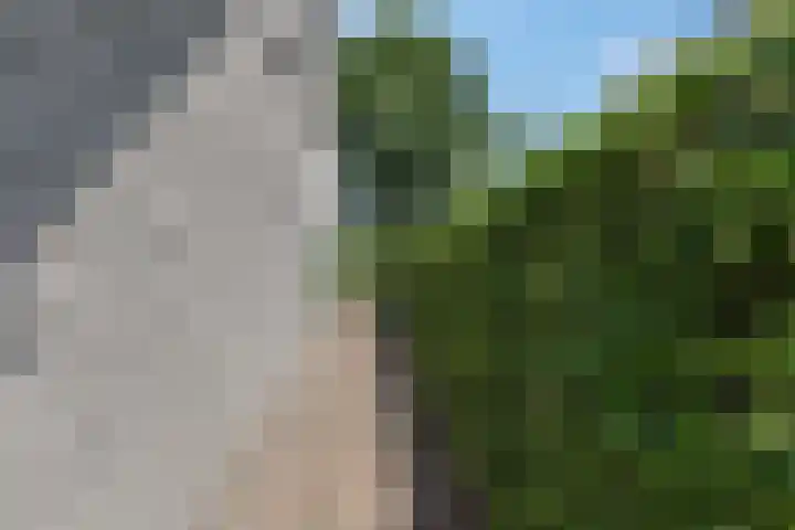 Tellerswerft 34 Nijkerk thumbnail 51