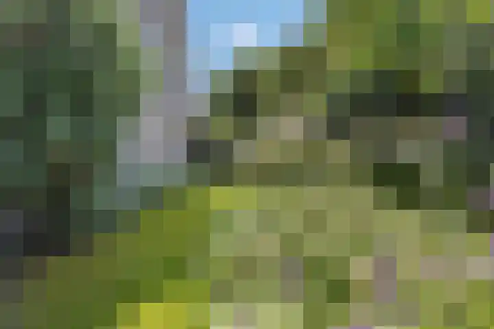 Tellerswerft 34 Nijkerk thumbnail 52
