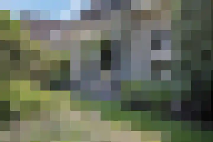 Tellerswerft 34 Nijkerk thumbnail 53