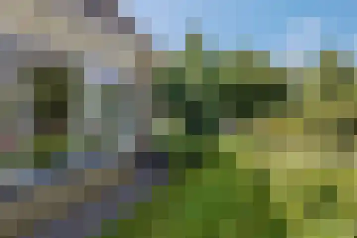 Tellerswerft 34 Nijkerk thumbnail 54