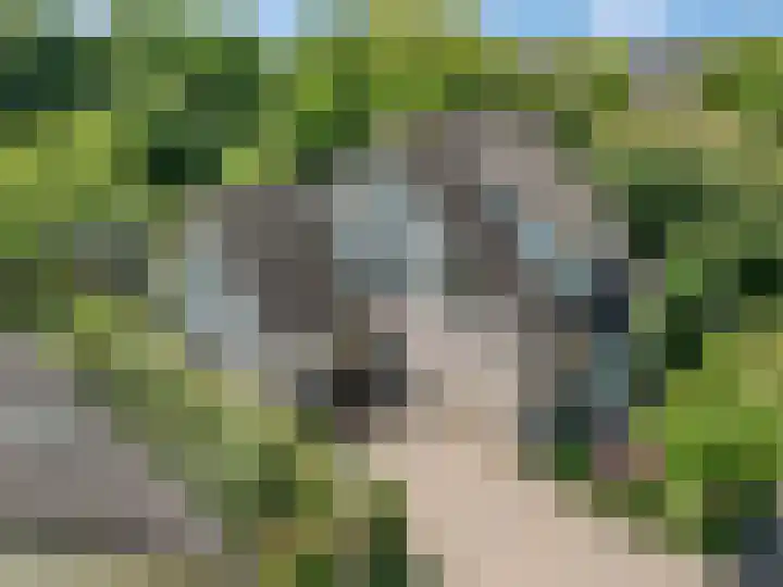 Tellerswerft 34 Nijkerk thumbnail 58