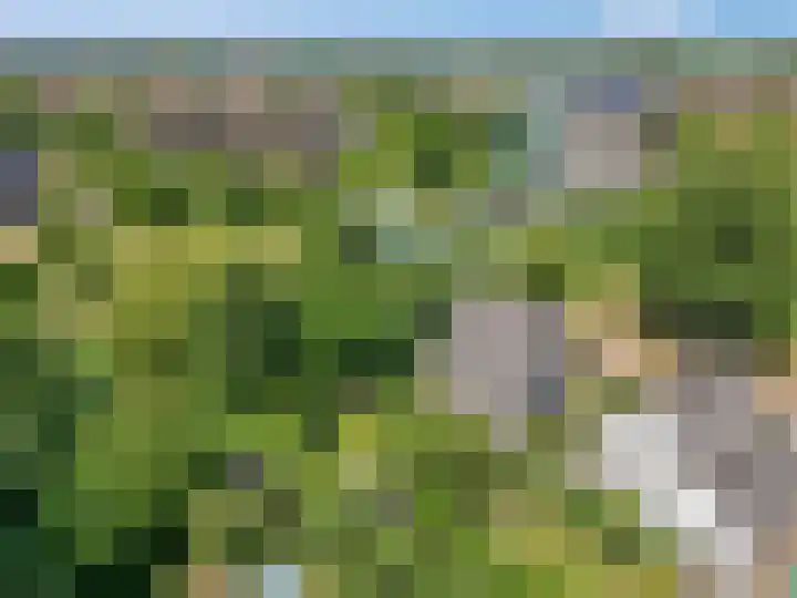 Tellerswerft 34 Nijkerk thumbnail 67