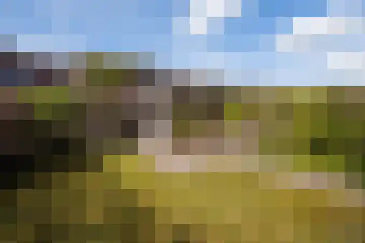 Tellerswerft 34 Nijkerk thumbnail 72
