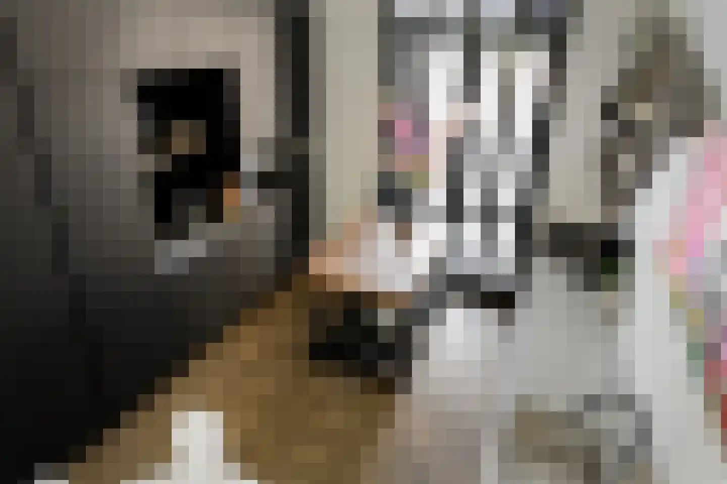 Tellingakker 5 Aalden thumbnail 12