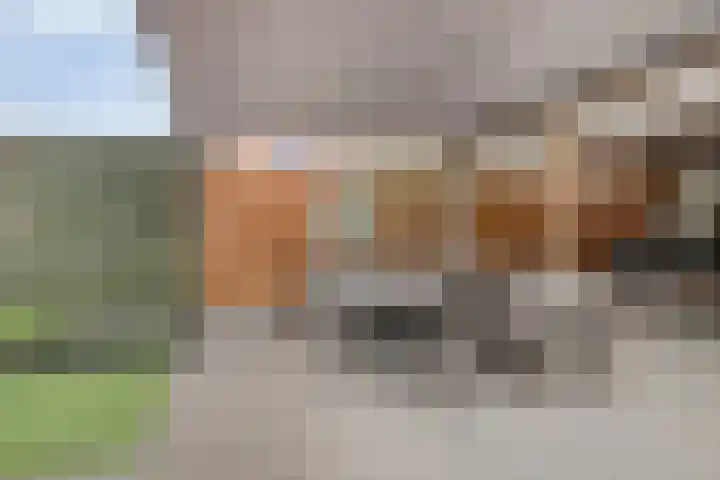 Tellingakker 5 Aalden thumbnail 16