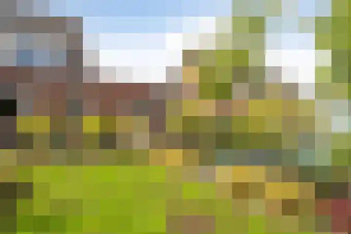 Tellingakker 5 Aalden thumbnail 18