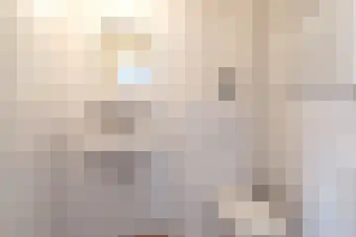 Tellingakker 5 Aalden thumbnail 24