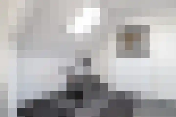 Tellingakker 5 Aalden thumbnail 32