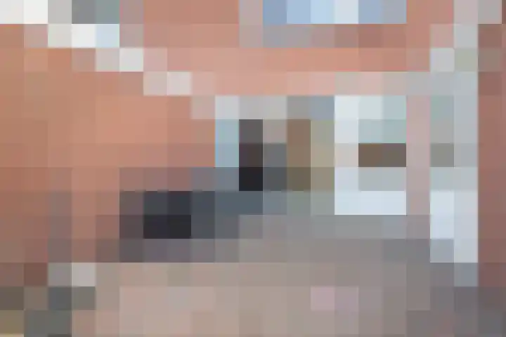 Tellingakker 5 Aalden thumbnail 35