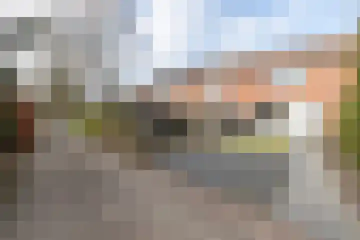 Tellingakker 5 Aalden thumbnail 43