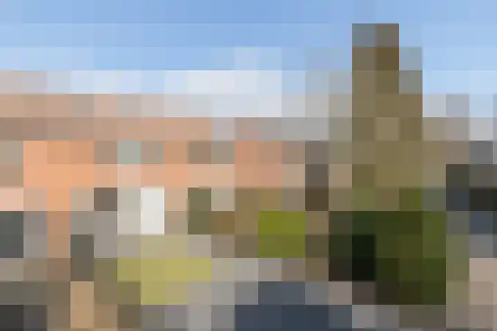 Tellingakker 5 Aalden thumbnail 44