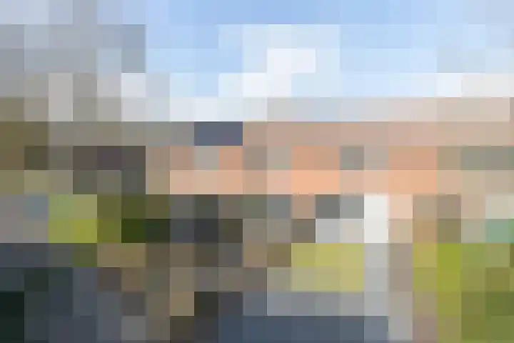 Tellingakker 5 Aalden thumbnail 45