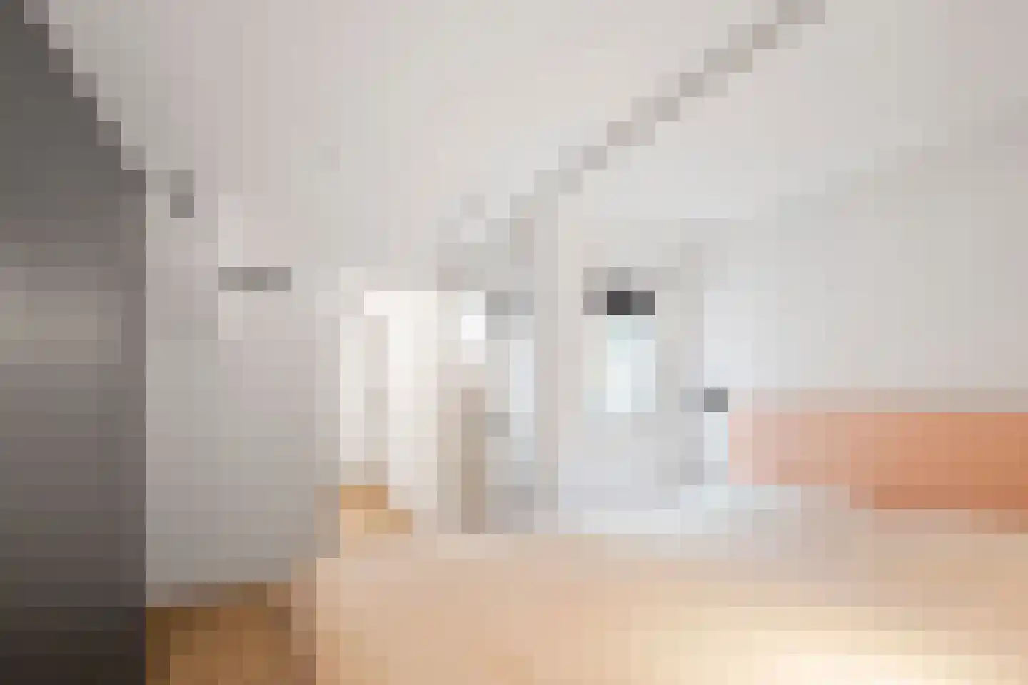 Tempeliersstraat 44 Haarlem thumbnail 29