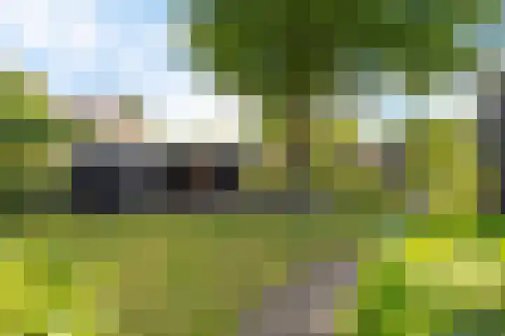 Ten Darperweg 1 a Diever thumbnail 31