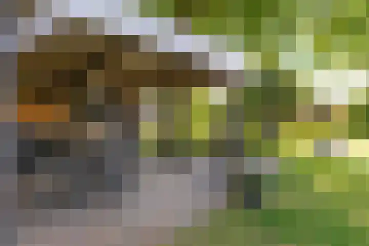 Ten Darperweg 1 a Diever thumbnail 32