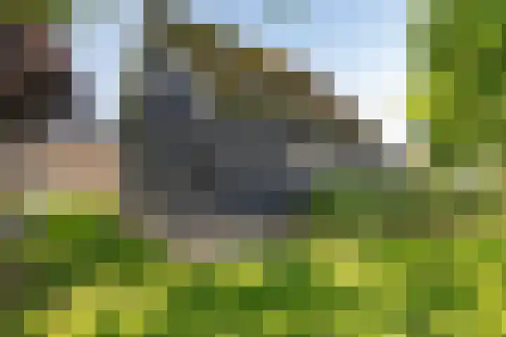 Ten Darperweg 1 a Diever thumbnail 38