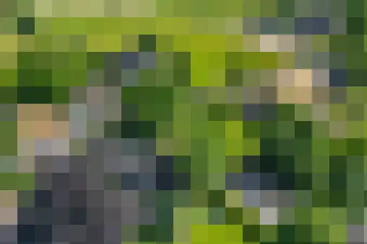 Ten Darperweg 1 a Diever thumbnail 4