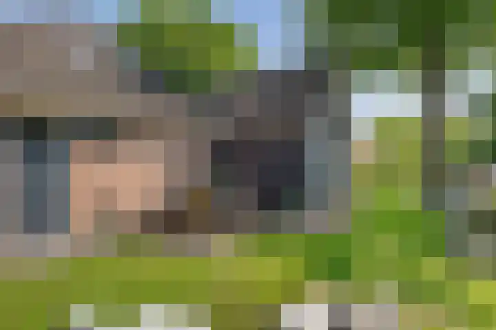 Ten Darperweg 1 a Diever thumbnail 41