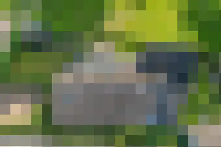 Ten Darperweg 1 a Diever thumbnail 42