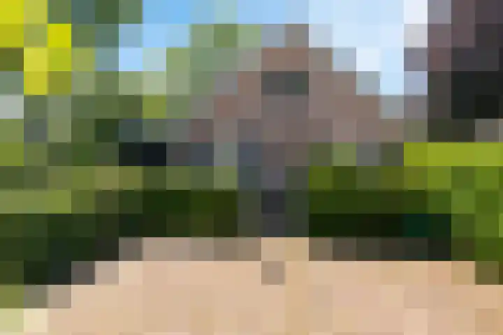 Ten Darperweg 1 a Diever thumbnail 43