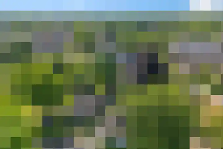 Ten Darperweg 1 a Diever thumbnail 45