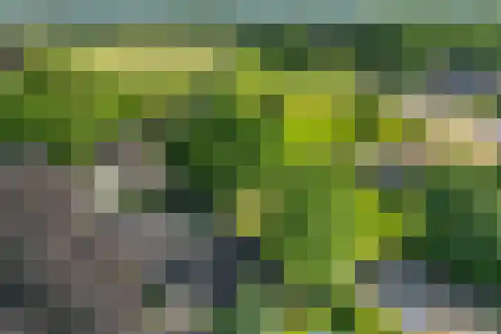 Ten Darperweg 1 a Diever thumbnail 46