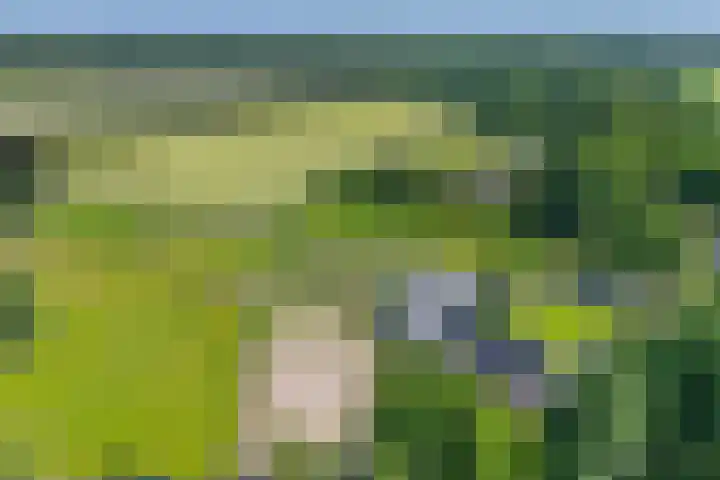 Ten Darperweg 1 a Diever thumbnail 47