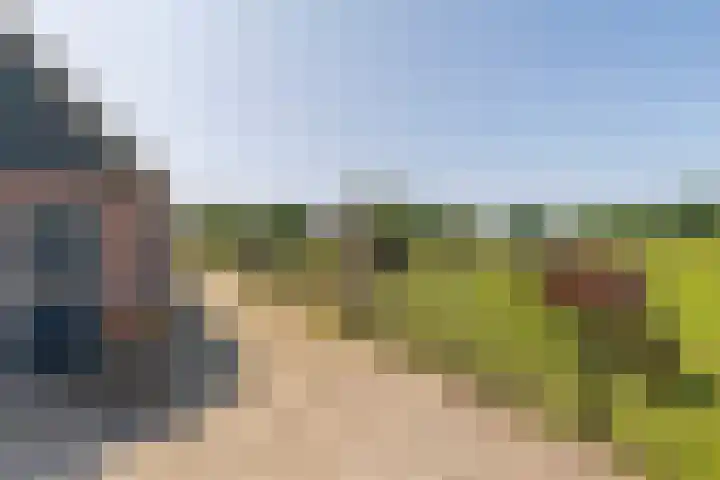 Ten Darperweg 1 a Diever thumbnail 49