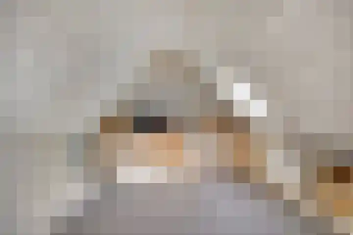 Ten Darperweg 4 Diever thumbnail 26