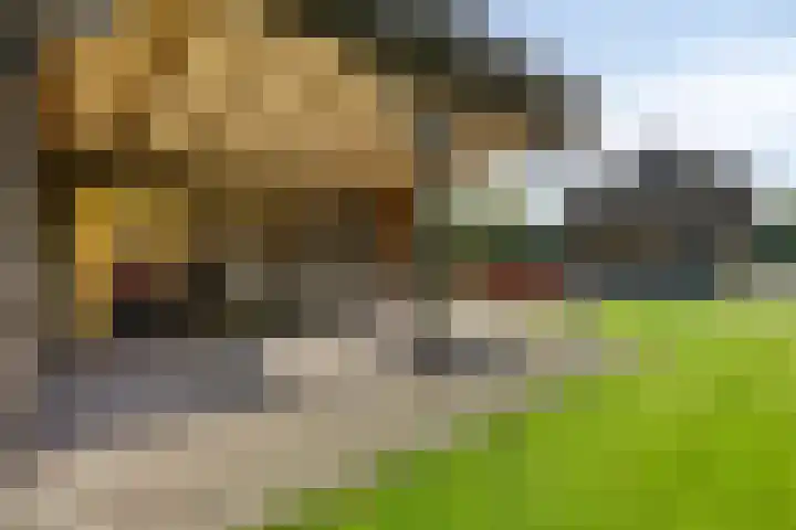 Ten Darperweg 4 Diever thumbnail 34
