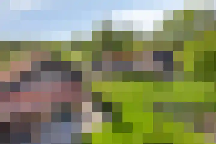 Ten Darperweg 4 Diever thumbnail 35