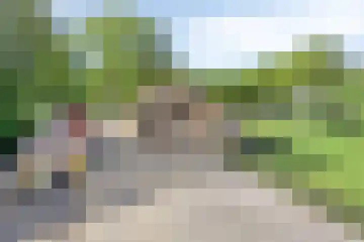 Ten Darperweg 4 Diever thumbnail 38
