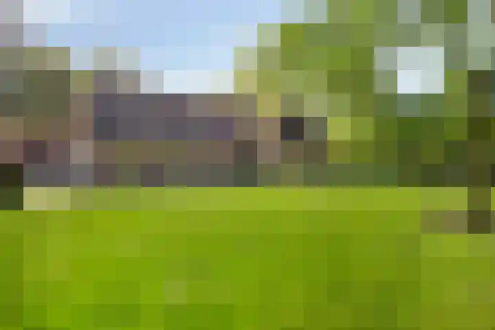 Ten Darperweg 4 Diever thumbnail 4