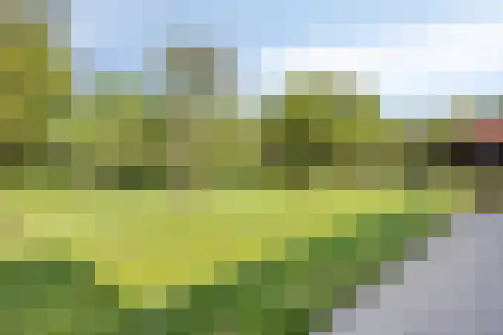 Ten Darperweg 4 Diever thumbnail 42