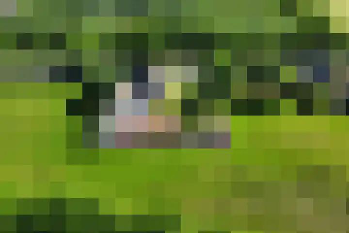 Ten Darperweg 4 Diever thumbnail 47