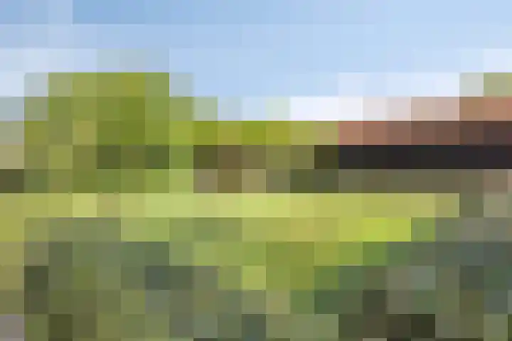 Ten Darperweg 4 Diever thumbnail 5