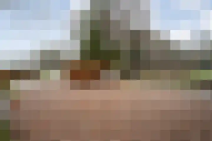 Ten Darperweg 6 Diever thumbnail 11
