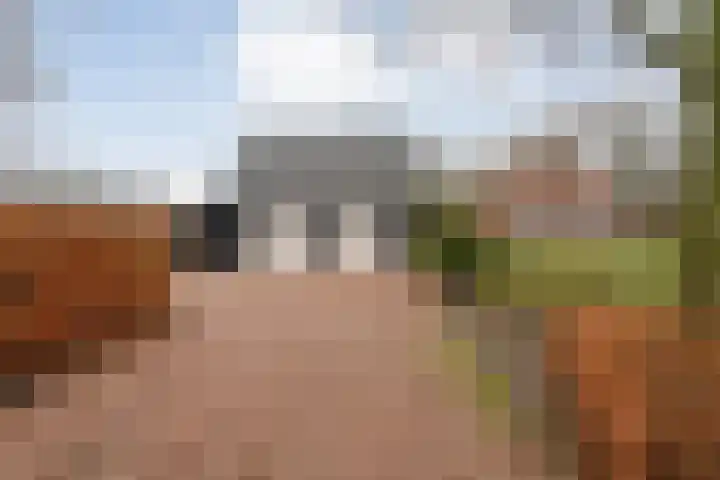 Ten Darperweg 6 Diever thumbnail 12