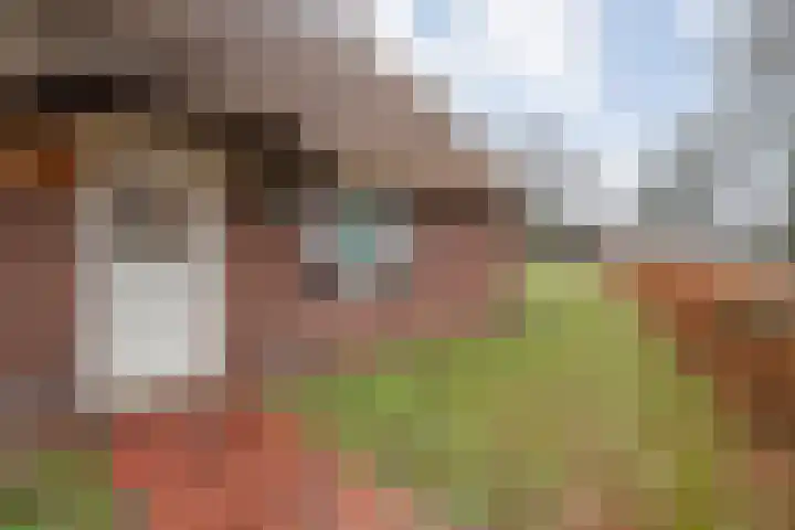 Ten Darperweg 6 Diever thumbnail 13