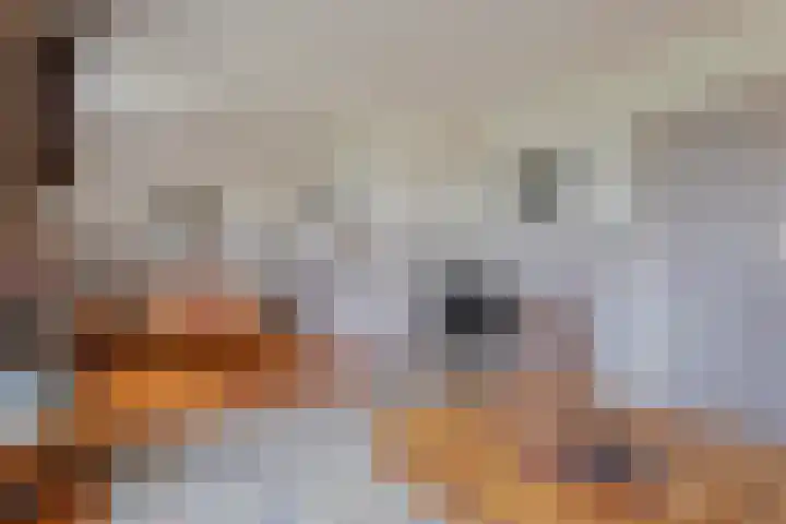 Ten Darperweg 6 Diever thumbnail 20