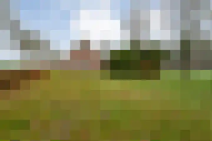 Ten Darperweg 6 Diever foto 3