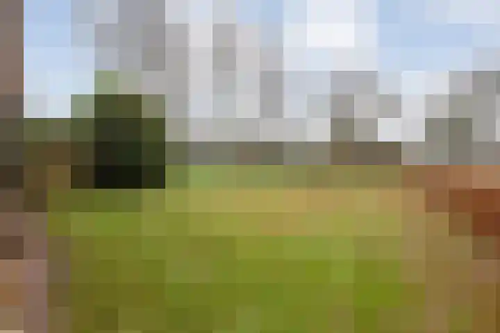 Ten Darperweg 6 Diever thumbnail 36