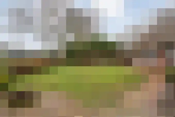 Ten Darperweg 6 Diever thumbnail 37