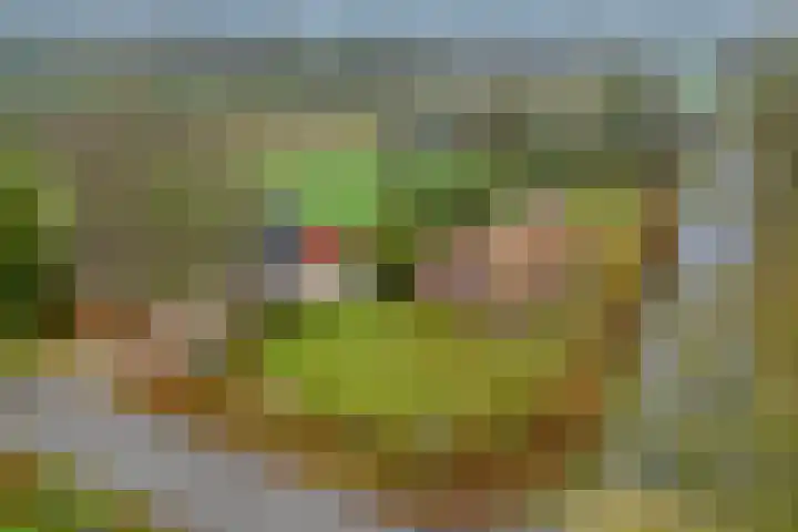 Ten Darperweg 6 Diever thumbnail 6