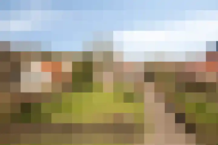 Ten Darperweg 96 Wapse