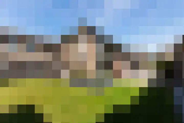 Screenshot van de website van www.tenhag.nl