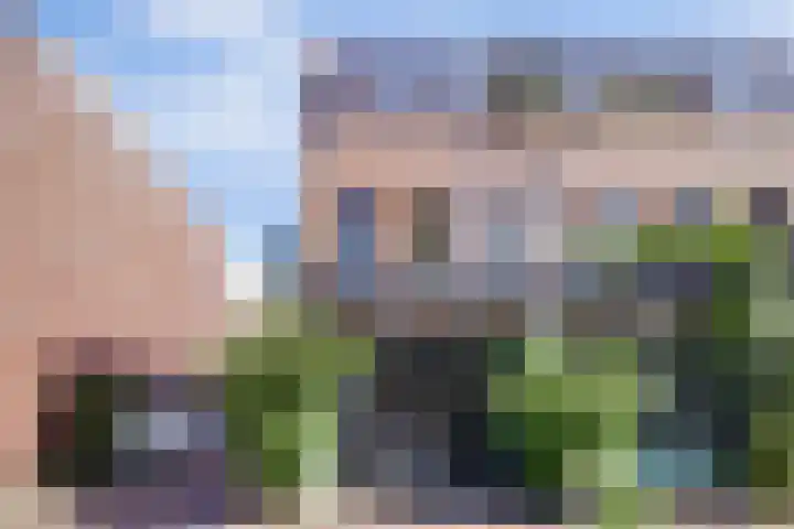 Tenderstraat 2 Amsterdam thumbnail 5