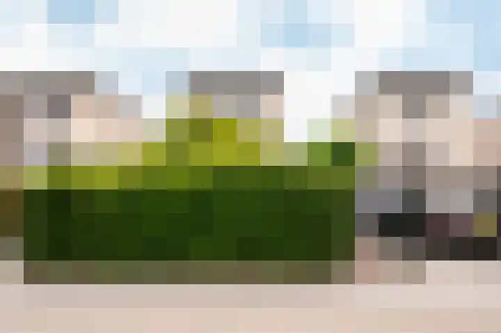 Tenerifestraat 7 Almere thumbnail 40