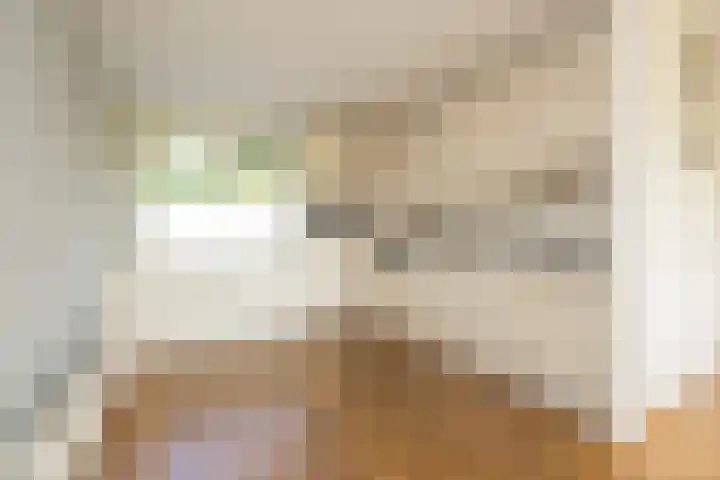 Ter Beek 6 Lisse thumbnail 10